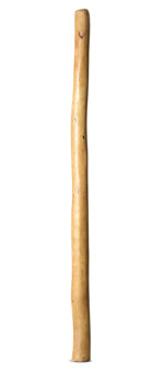 Natural Finish Didgeridoo (TW1638)